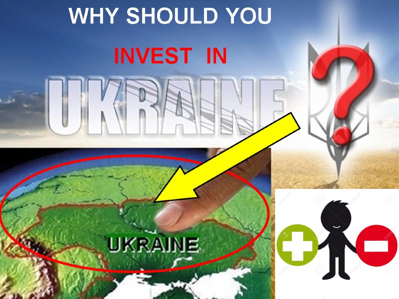 WHY SHOULD YOU   INVEST  IN